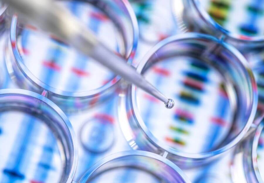 Células madre VSEL: las “células maestras” detrás del sistema natural de regeneración del cuerpo